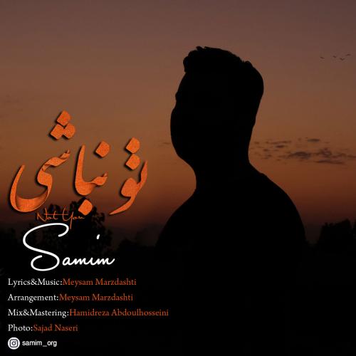 دانلود آهنگ تو نباشی